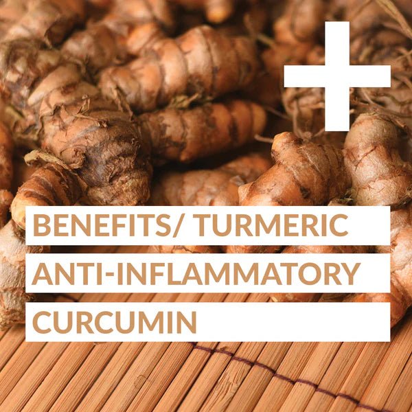 Forceup Turmeric Daily+ - Forceup