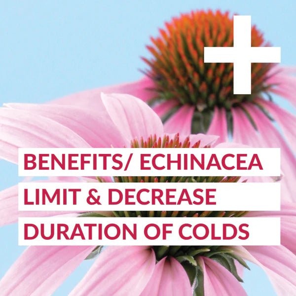 Forceup SickDay+ - Forceup