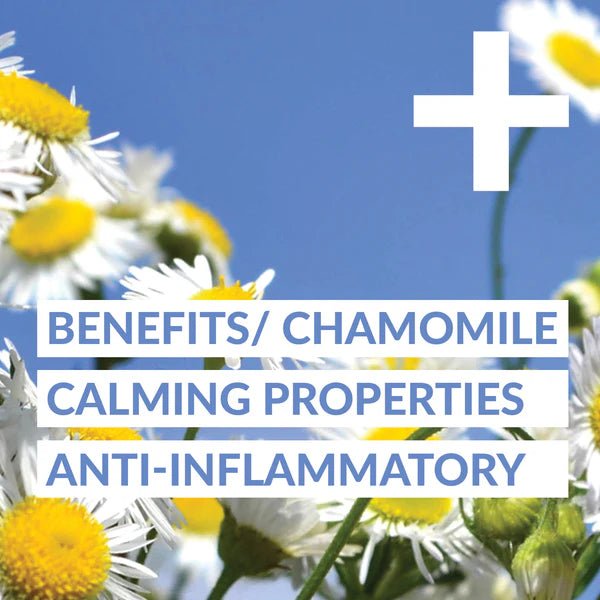 Forceup Turmeric Daily+ - Forceup